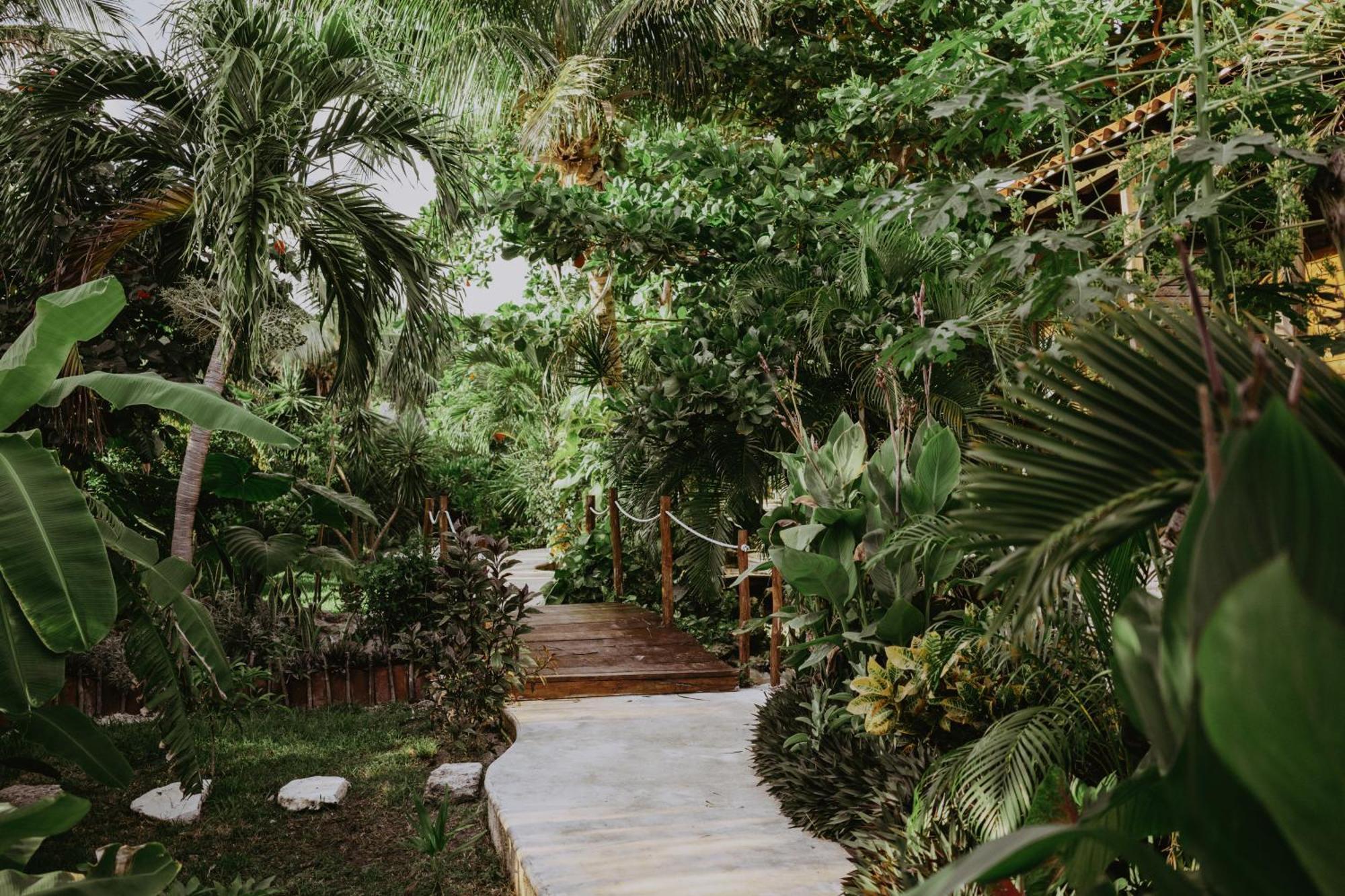 Petit Lafitte Beach Front Hotel & Bungalows Playa del Carmen Exterior foto